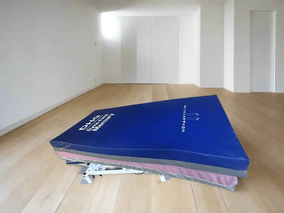 Oska 10001 Hospital Bed with Controller and Mattress - SelfiMed UK