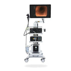 Endoscopy - SelfiMed UK