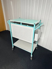 Bristol Maid Medical Records Trolley with Keys SelfiMed UK