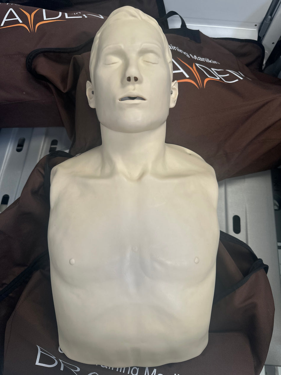 Innosonian Brayden Adult CPR Training Manikin in Carry Case