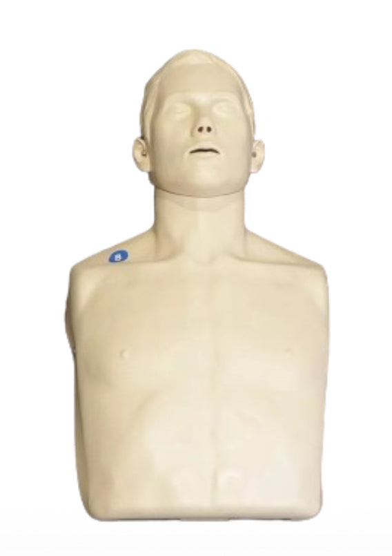 Innosonian Brayden Adult CPR Training Manikin in Carry Case