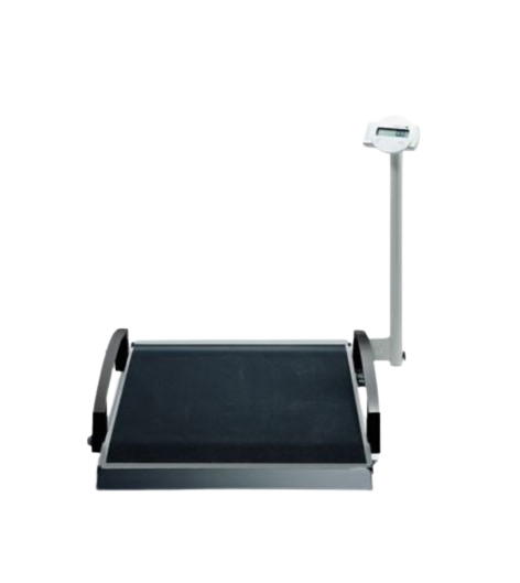 Seca Wheelchair Floor Scales