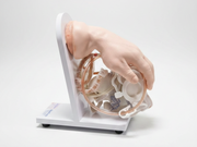 Adam Rouilly Lifeform Advanced IV Hand SelfiMed UK