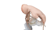 Adam Rouilly Lifeform Advanced IV Hand SelfiMed UK