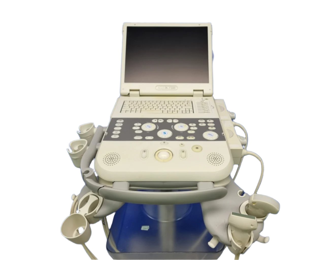 High-resolution display of the Siemens Acuson P300 ultrasound.