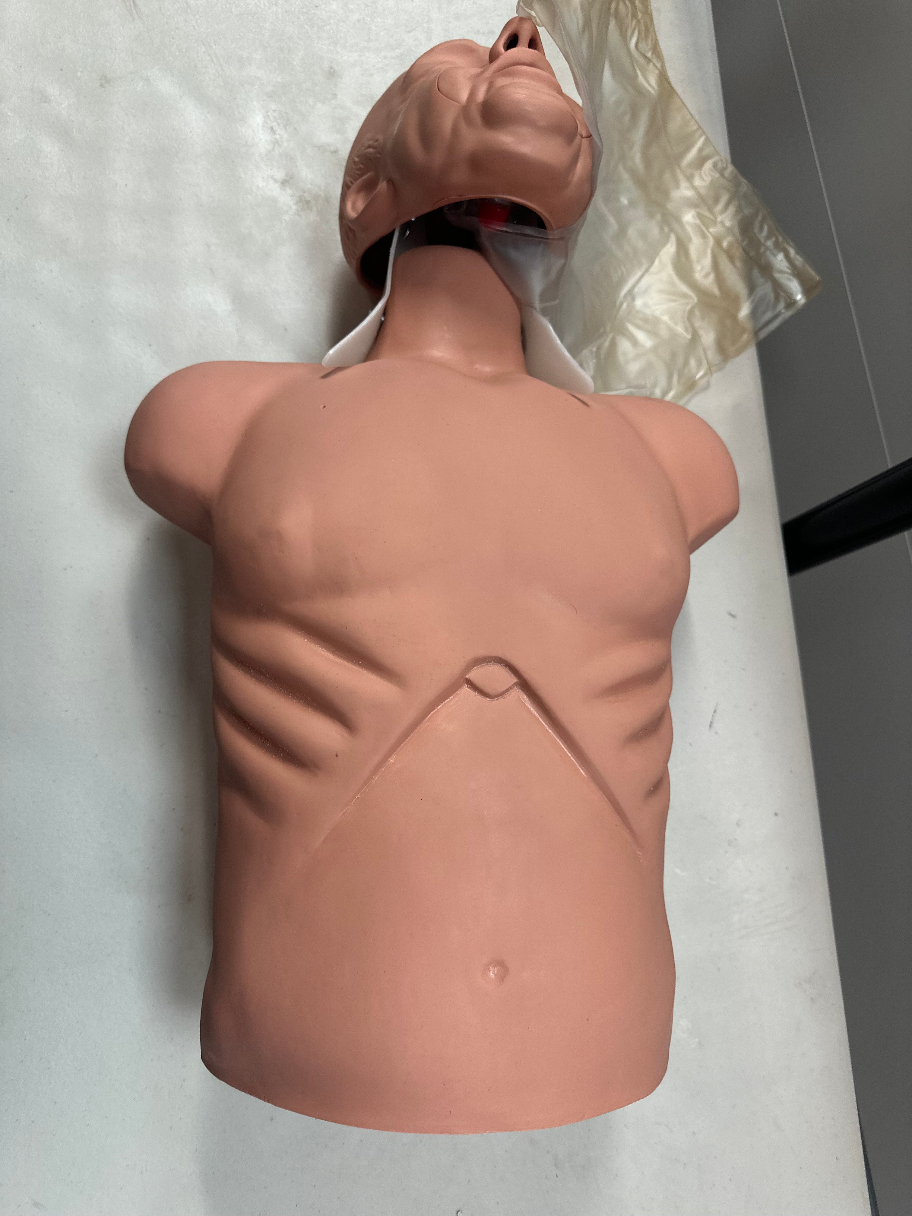 Realistic airway manipulation feature on the Simulaids Adult CPR Manikin.