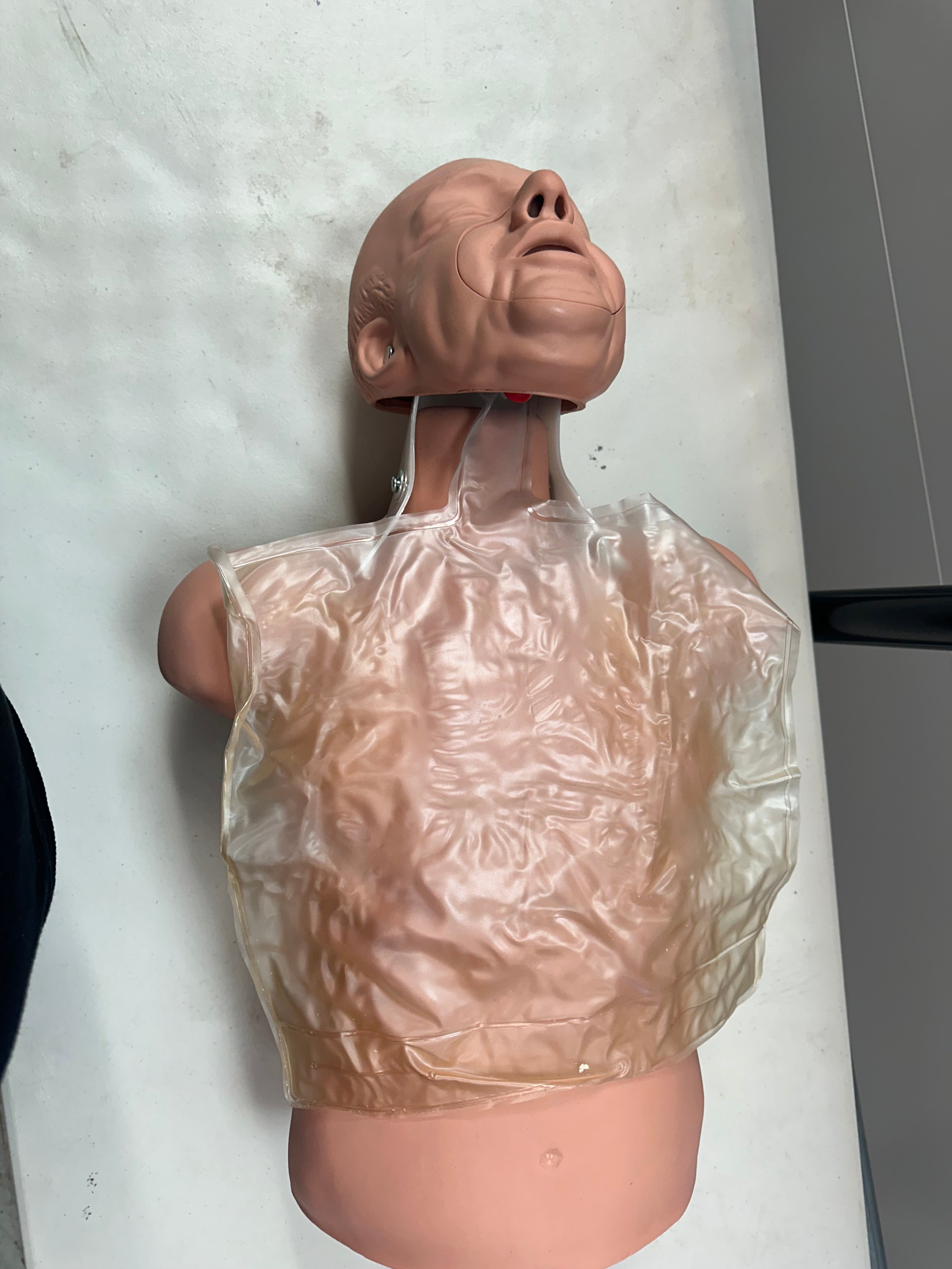 Top view of the Simulaids Brad Manikin highlighting the rib cage and sternum.