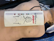 Laerdal Resusci Anne Torso Training Manikin in Carry Case - SelfiMed UK