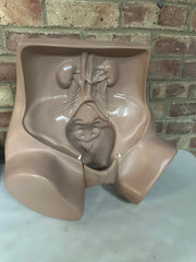 Zoe Gynecolgic Simulator - SelfiMed UK