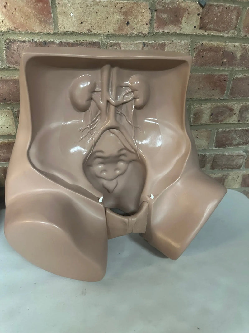 Zoe Gynecolgic Simulator - SelfiMed UK