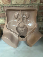 Zoe Gynecolgic Simulator - SelfiMed UK