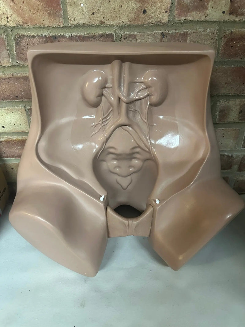 Zoe Gynecolgic Simulator - SelfiMed UK