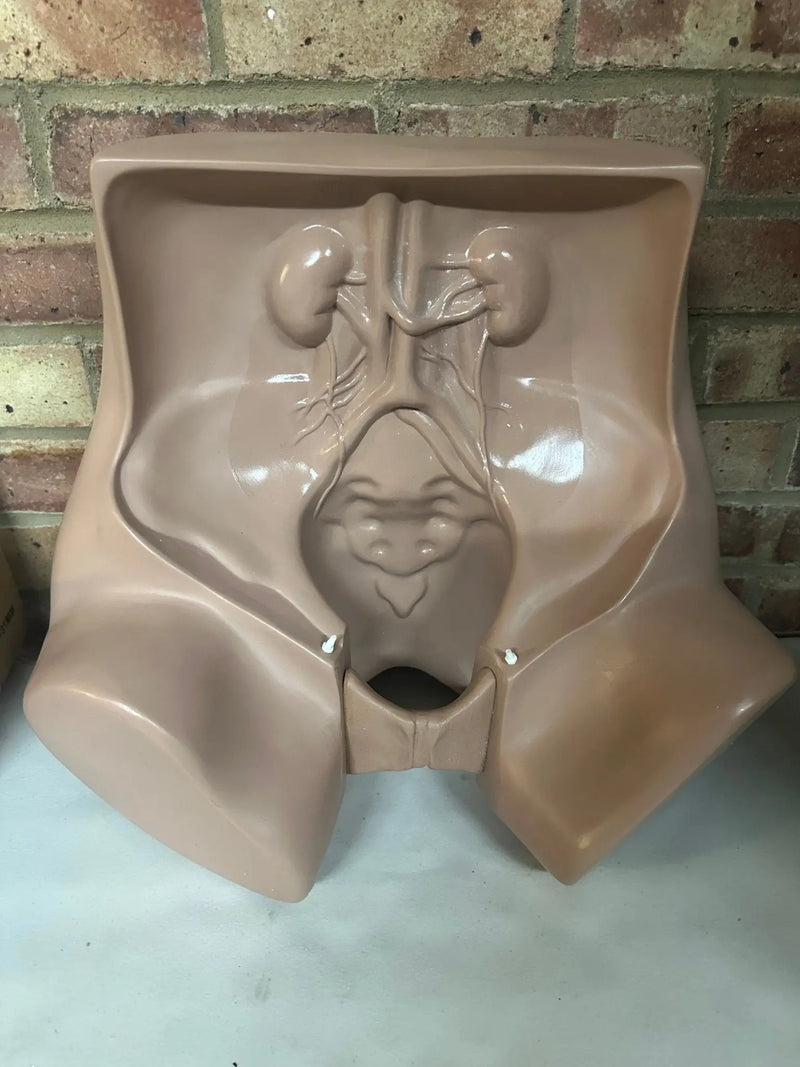 Zoe Gynecolgic Simulator - SelfiMed UK