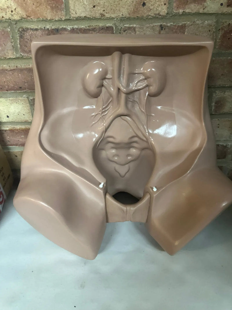 Zoe Gynecolgic Simulator - SelfiMed UK