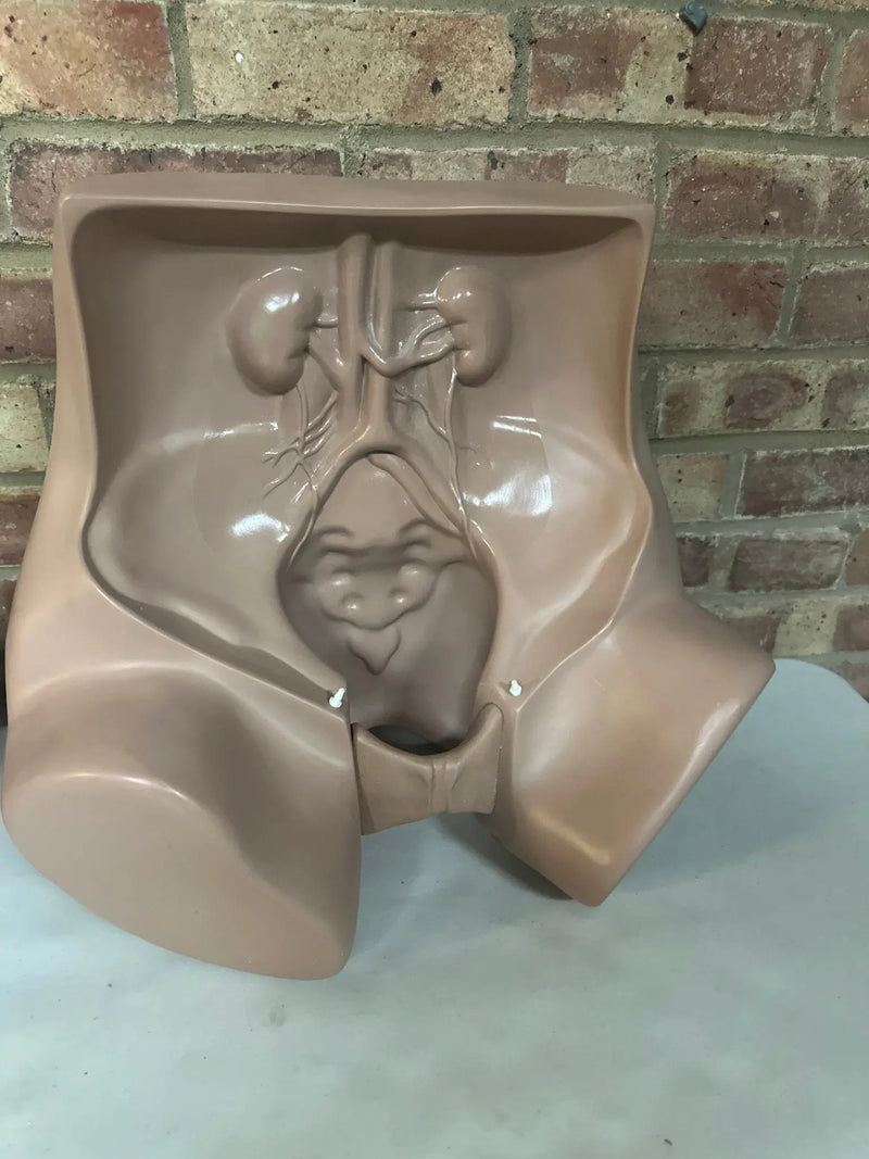 Zoe Gynecolgic Simulator - SelfiMed UK