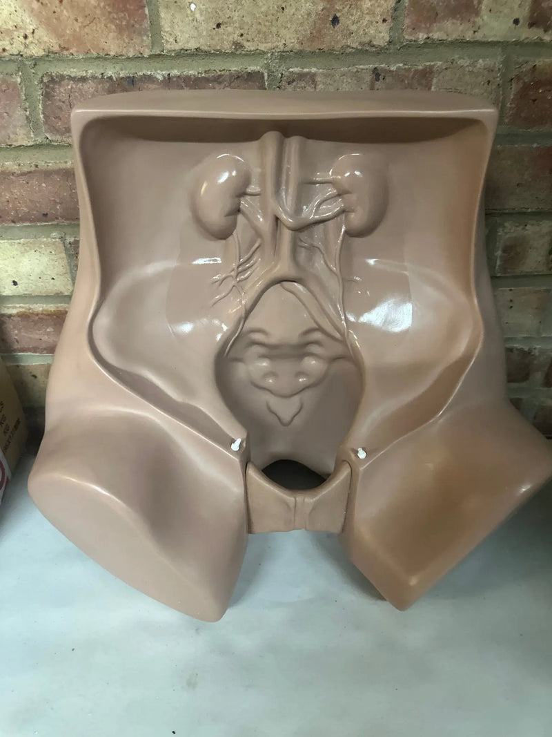 Zoe Gynecolgic Simulator - SelfiMed UK