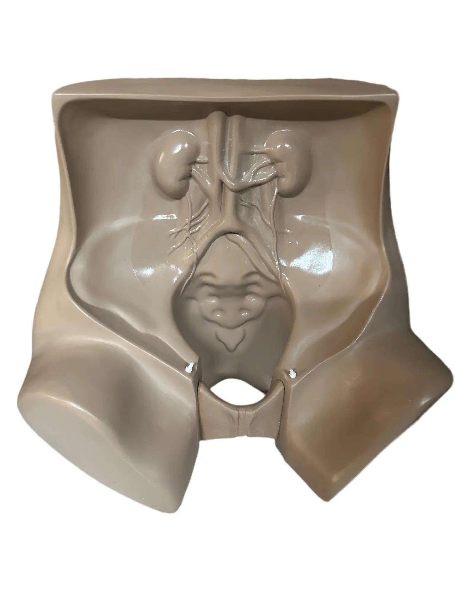 Zoe Gynaecologic Simulator gynecologic exam simulator SelfiMed UK