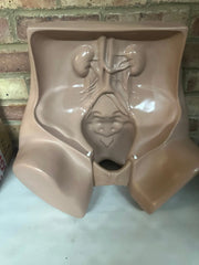 Zoe Gynecolgic Simulator - SelfiMed UK