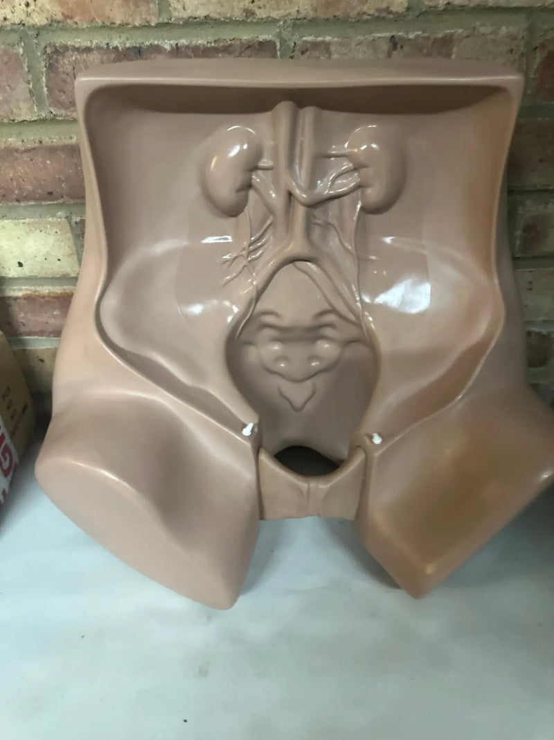 Zoe Gynecolgic Simulator - SelfiMed UK