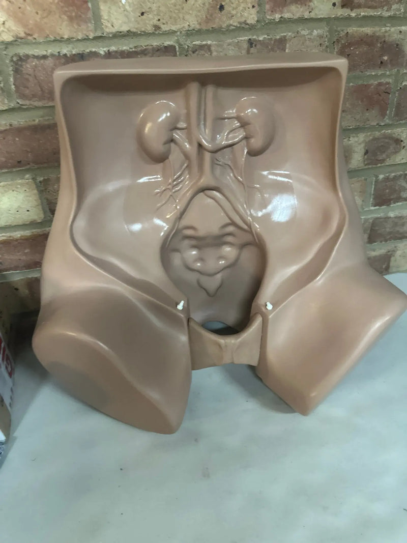 Zoe Gynecolgic Simulator - SelfiMed UK