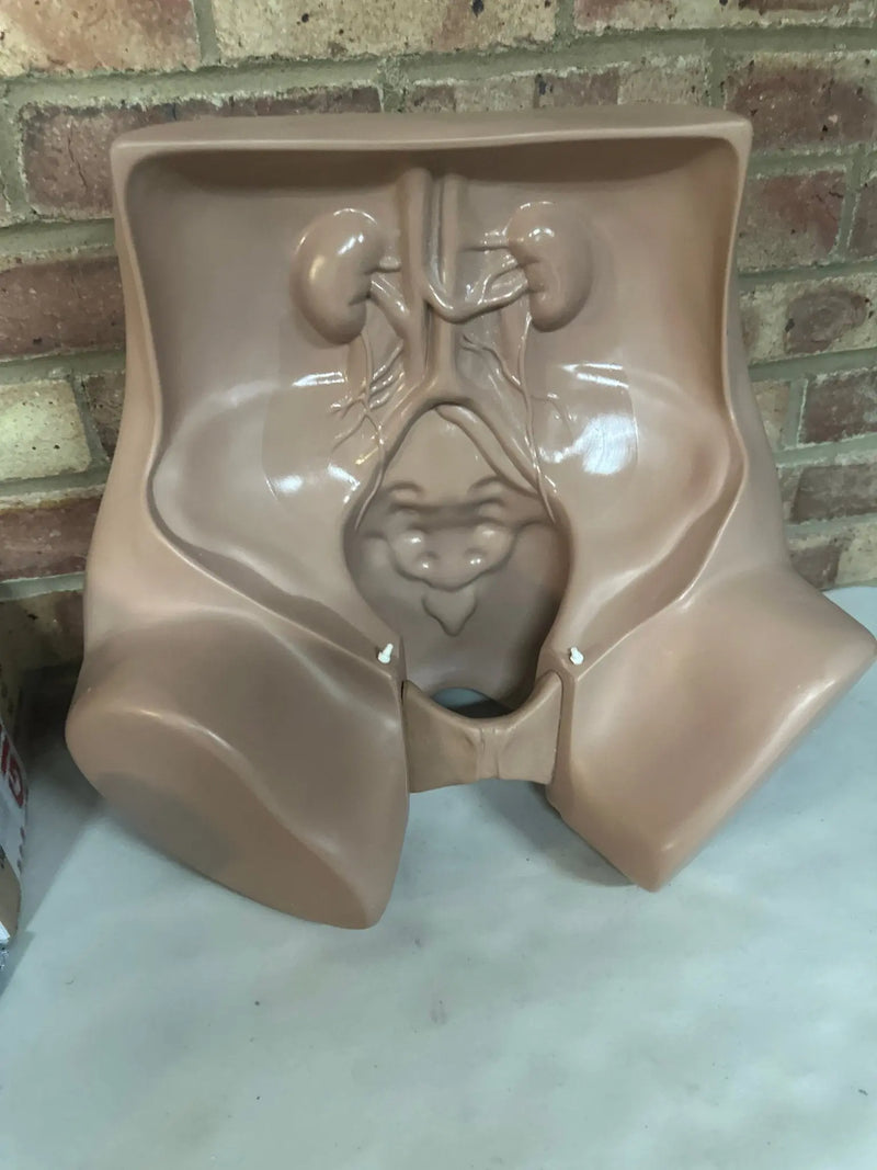 Zoe Gynecolgic Simulator - SelfiMed UK