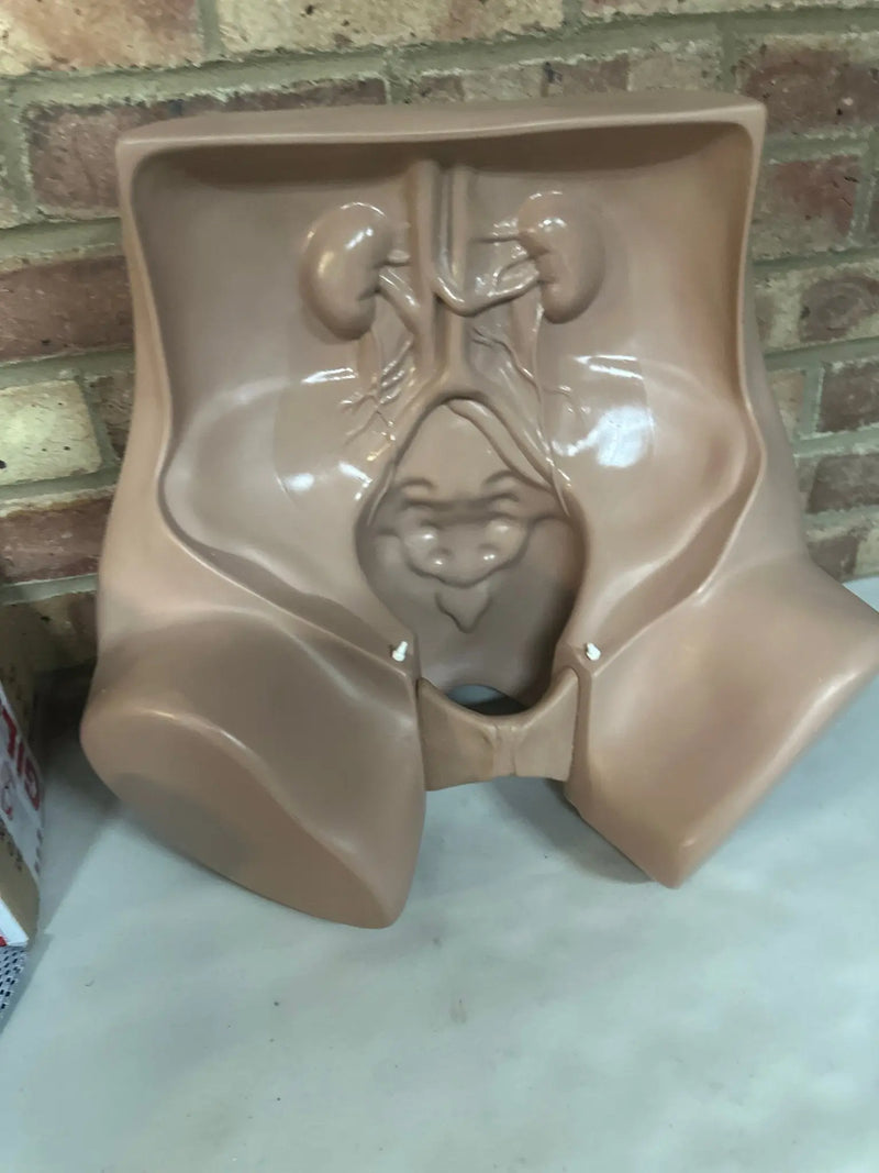 Zoe Gynecolgic Simulator - SelfiMed UK