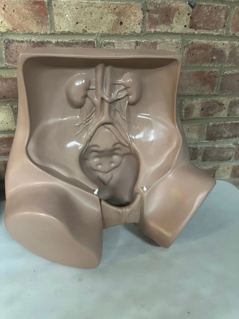 Zoe Gynecolgic Simulator - SelfiMed UK