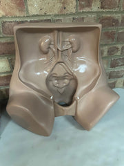 Zoe Gynecolgic Simulator - SelfiMed UK