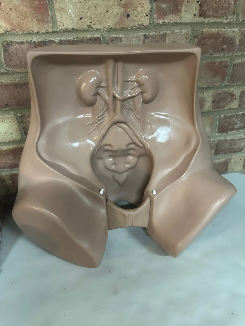 Zoe Gynecolgic Simulator - SelfiMed UK